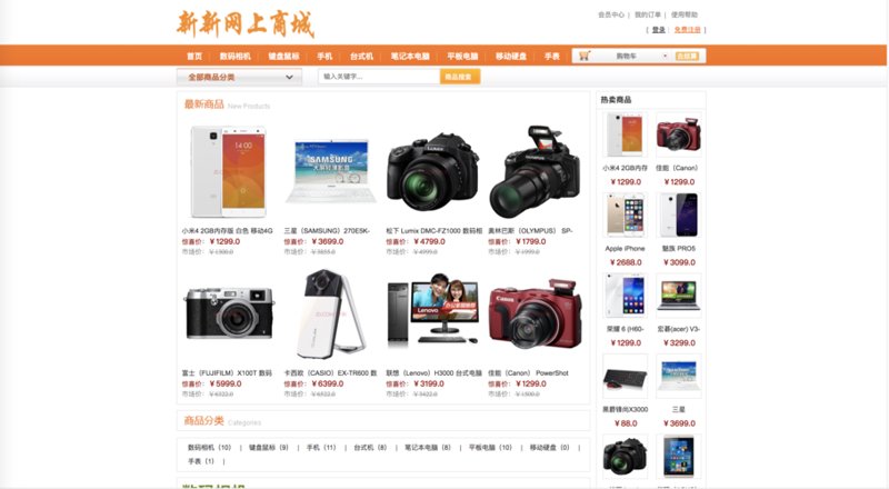 在线购物网站的风华正茂与未来展望